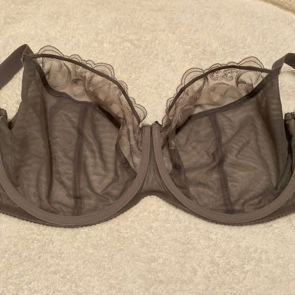 Elegant Sheer Lace Bra in Gray - Picture 3 of 6